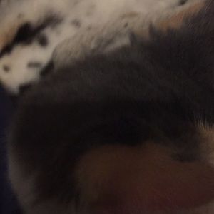 Meet your Posher, Lori